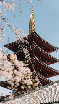 日本寺庙和神社的区别