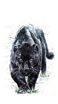 Wild Oil Painting