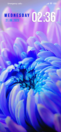 flowers beatiful