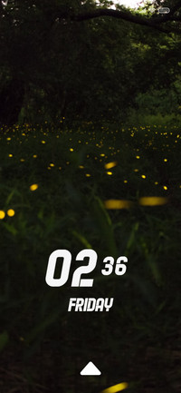 FireFlies