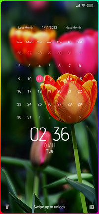 Tulips