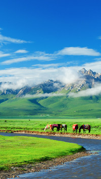 Natural scenery of the qinghai tibet plateau