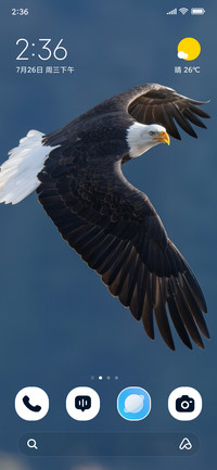 Soaring Eagle