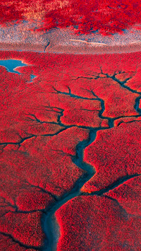 Red beach scenic area