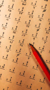 Literacy Day  (17)