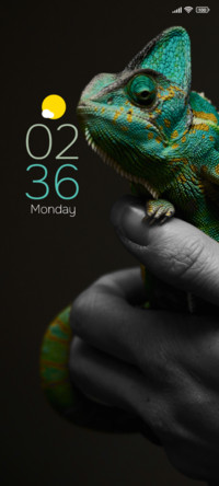 Reptile