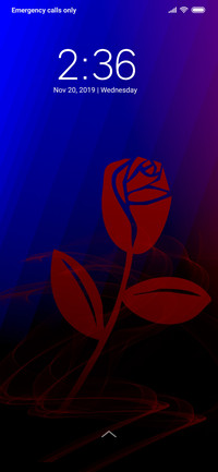 Red Rose_DWM3