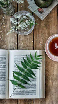 One book one tea one bosom friend 0