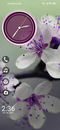 Flowers Bliss