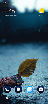Dry Leaf