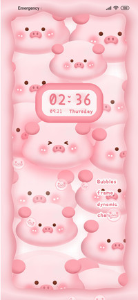 Dynamic pig