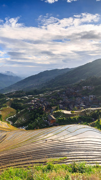 Among the sea of clouds in longji terraced fields