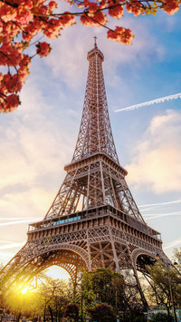 Those things in France 12