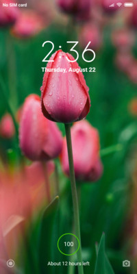 Blooming