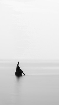 Black and white silence