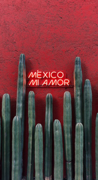 Passion for Travel (6)