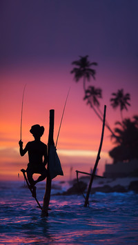 Top 10 destinations in Sri Lanka 23