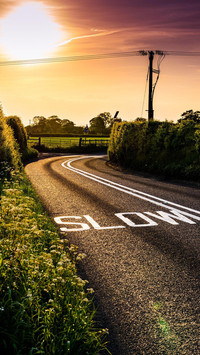 VCG41N1147050669