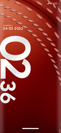 Cricket_10