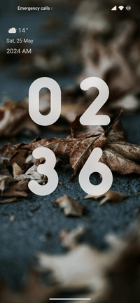 DryLeaves_V14