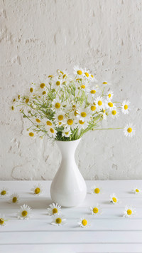 Several tips for floral design 2