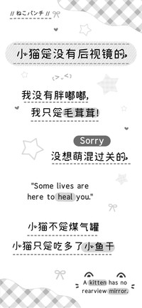 小猫是没有后视镜的