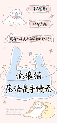 流浪猫花语是手慢无