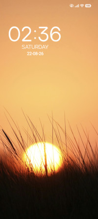 Tall Grass