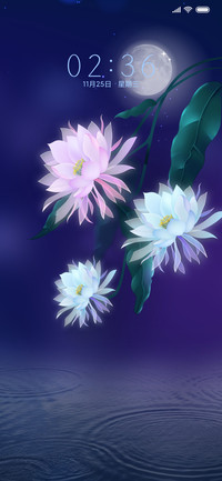 月下优昙