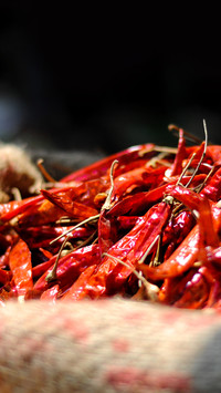 international_food (2)