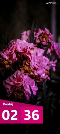 Sunlit Bloom