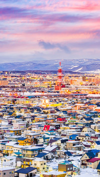 Cities with the largest snowfall 20