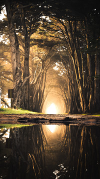 Mirrors (4)