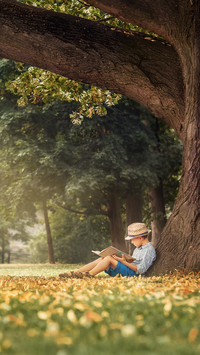 Little boy reading a book under big linden tree