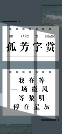 孤芳字赏