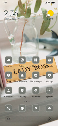 ladyboss