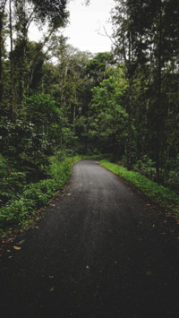 Road Trip (13)