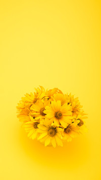flowers-08