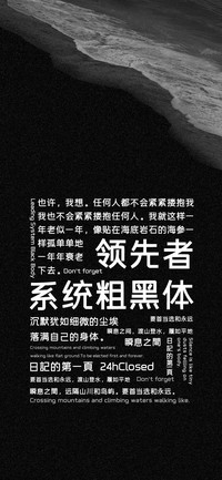 领先者系统粗黑体
