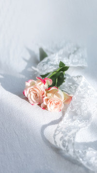 Refraction Bubble Rose