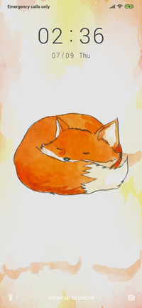 Baby Fox_3MDP