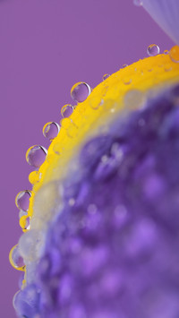 Amazing art-06