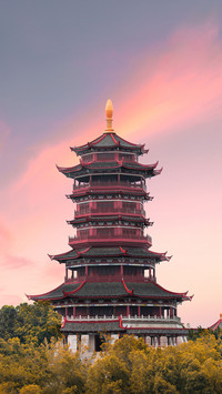 Xiamen Garden Expo Guide 9