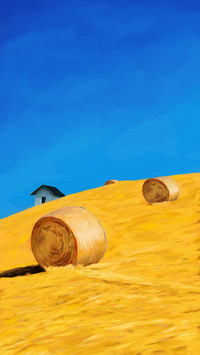 Autumn Wheat Field