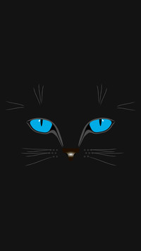 黑猫先生-拍信图库