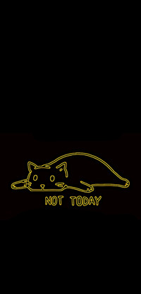 Lazy Cat