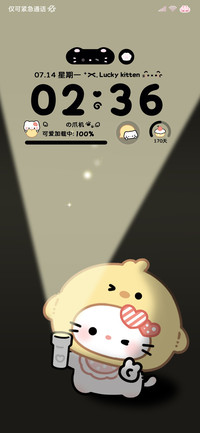 手电筒开灯小猫