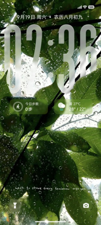 景深清新檐雨观叶