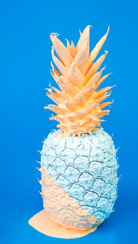 pineapple (2)