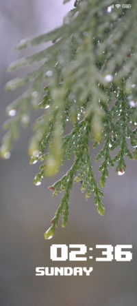 Rain Drops